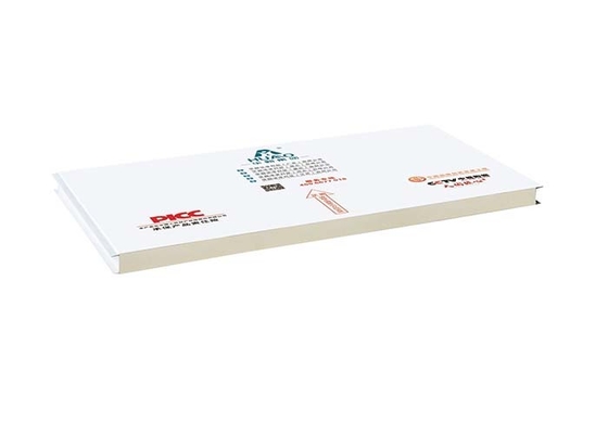 kupować PU PIR PUR Maszyna wykonana w czystym pomieszczeniu Panel z kanapką do fabryki magazynu online manufacture